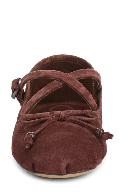 Circus Ny By Sam Edelman Women's Zuri Crossband Ballet Flats In Brown