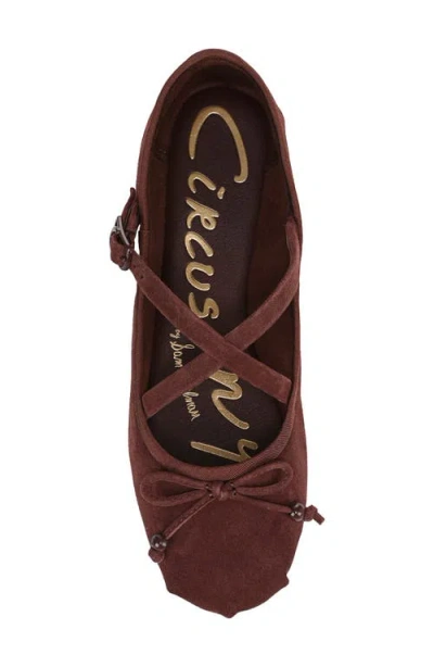 Circus Ny By Sam Edelman Women's Zuri Crossband Ballet Flats In Brown