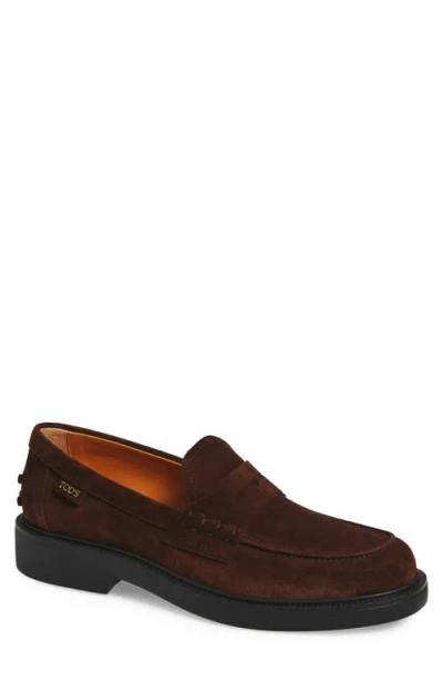Tod's Penny Strap Loafers Suede Finish In Brown