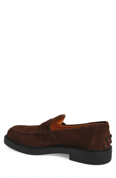 Tod's Penny Strap Loafers Suede Finish In Brown