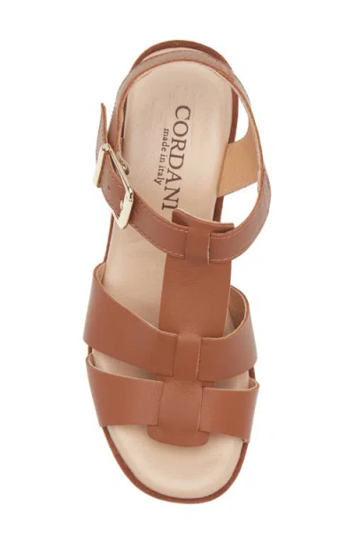 Cordani Jordynn Ankle Strap Platform Wedge Sandal In Brown