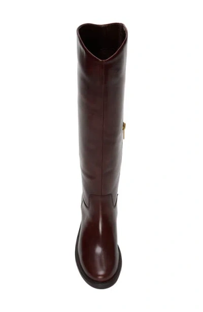 Vince Camuto Amree Tall Boot In Brown