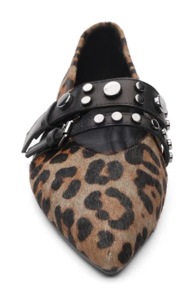 Ash Britnie Pointed Toe Flat In Brown