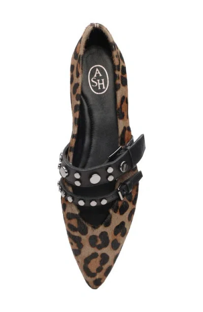 Ash Britnie Pointed Toe Flat In Brown