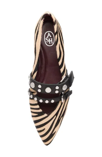 Ash Britnie Pointed Toe Flat In Multi