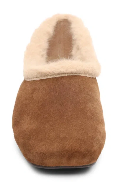Ash Bianca Faux Fur Lined Ballet Flat In Brown