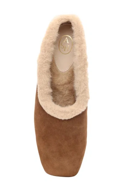 Ash Bianca Faux Fur Lined Ballet Flat In Brown