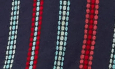 Michael Stars Zephyr Embroidered Stripe Bubble Hem Cotton Top In Multi