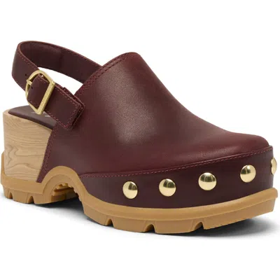 Sorel Roam'n Rvt Clog In Brown