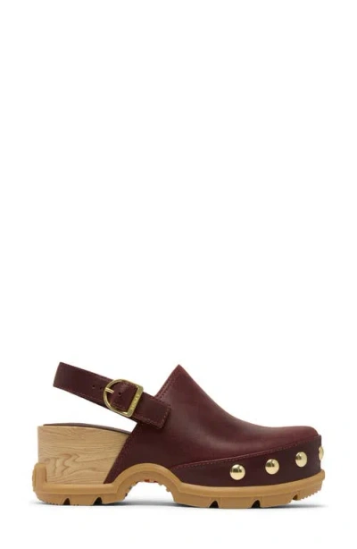 Sorel Roam'n Rvt Clog In Brown