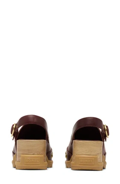 Sorel Roam'n Rvt Clog In Brown