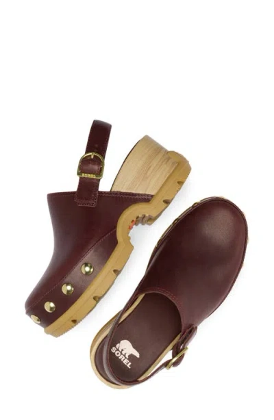 Sorel Roam'n Rvt Clog In Brown