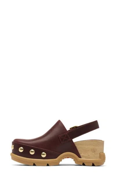 Sorel Roam'n Rvt Clog In Brown