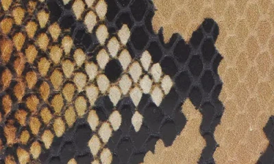 Alexander Mcqueen Mcqueen Snake Embossed Leather Card Case In Multi