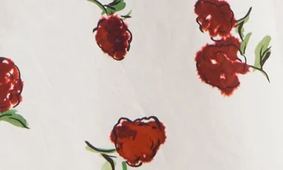 Khaite Lenno Raspberry Print Organza Midi Skirt In White