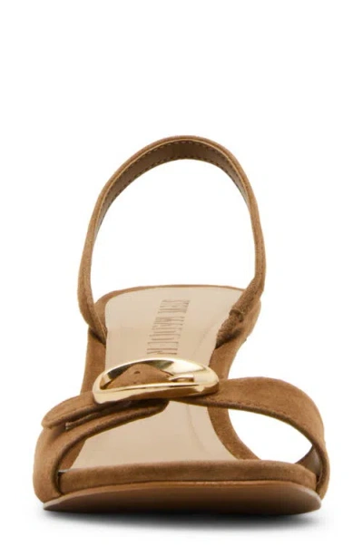 Steve Madden Women's Henrietta Slingback Sandals In Brown