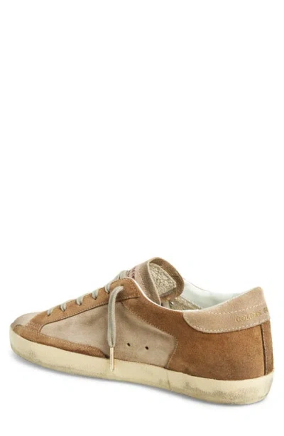 Golden Goose Super-star Low Top Sneaker In Multi