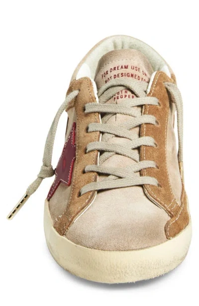 Golden Goose Super-star Low Top Sneaker In Multi