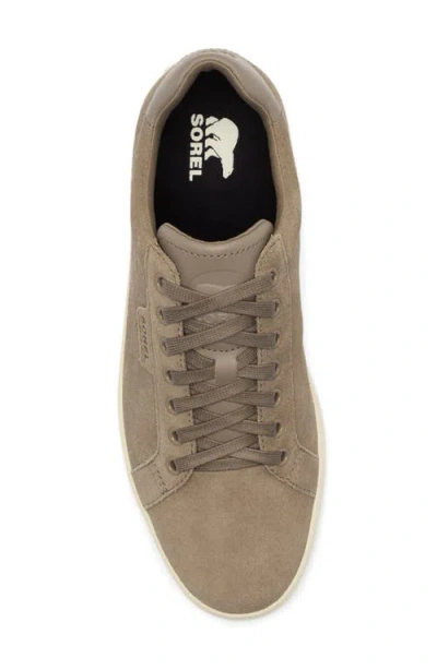 Sorel Men's Cyprus Lx Sneaker In Brown