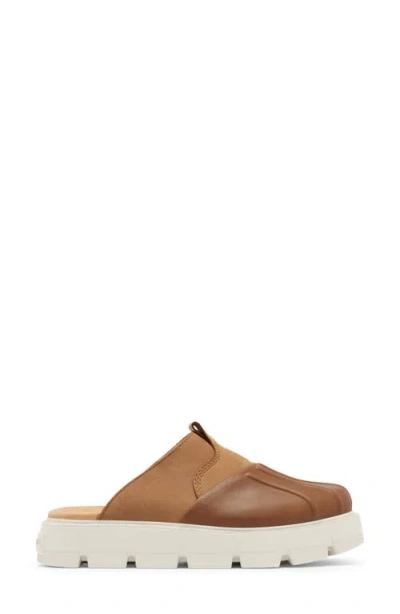 Sorel Rein Cb Clogs In Multi