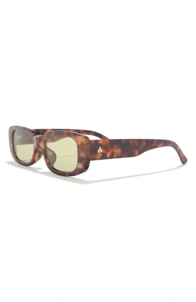 Aire Ceres 51mm Rectangular Sunglasses In Brown