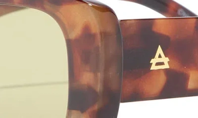 Aire Ceres 51mm Rectangular Sunglasses In Brown