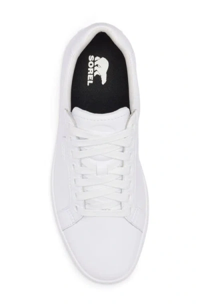 Sorel Cyprus Lx™ Sneaker In White