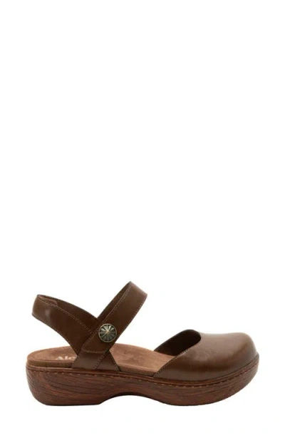Alegria By Pg Lite Opal Ankle Strap Platform Clog In Brown