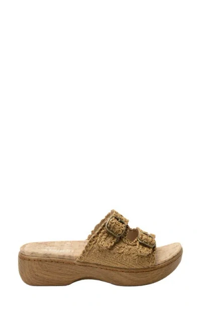 Alegria By Pg Lite Oona Platform Slide Sandal In Multi