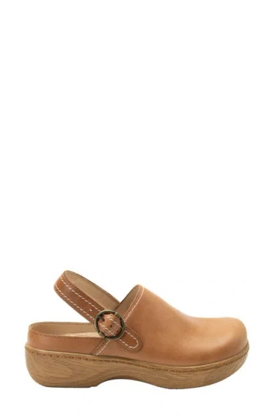 Alegria By Pg Lite Olie Slingback Platform Clog In Brown