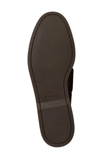 Sperry Ao 2 Eye_mm In Multi
