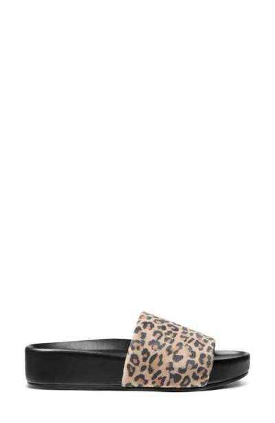 Beek Pelican Slide Sandal In Multi