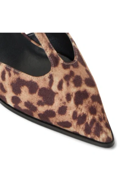 Call It Spring By Aldo Talaa Ankle Strap Pointed Toe Kitten Heel Pump In Brown