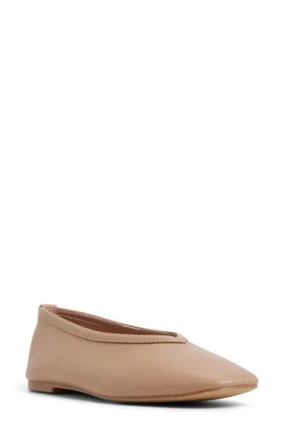 Call It Spring By Aldo Eleynora Ballet Flat In Brown