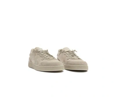 P448 Vert Sneaker In White