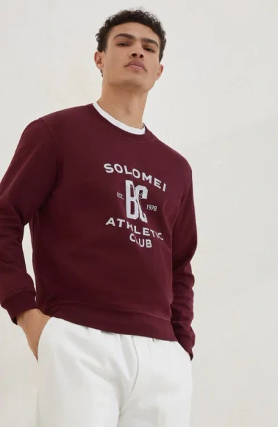 Brunello Cucinelli Men Cotton Sweatshirt With Print On The Front In Purple