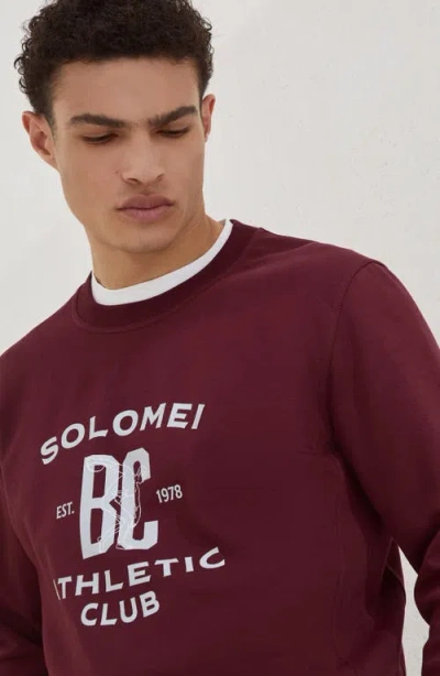 Brunello Cucinelli Men Cotton Sweatshirt With Print On The Front In Purple