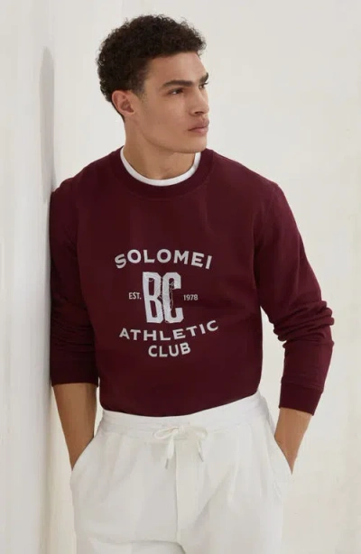 Brunello Cucinelli Men Cotton Sweatshirt With Print On The Front In Purple