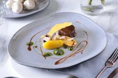 Porto Brasil Stoneware Oval Dinner Plates, Set Of 6 In Gray