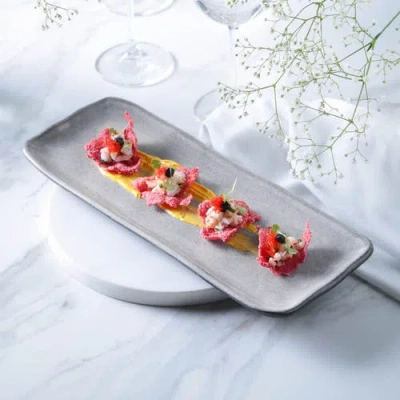 Porto Brasil 12.99" Stoneware Medium Rectangular Platters, Set Of 4 In Gray