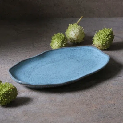 Porto Brasil Shallow Bio Oval Platter Medium Set Of 4 In Blue