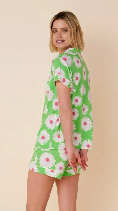 The Cat's Pajamas Pima Knit Short Pajama Set In Green