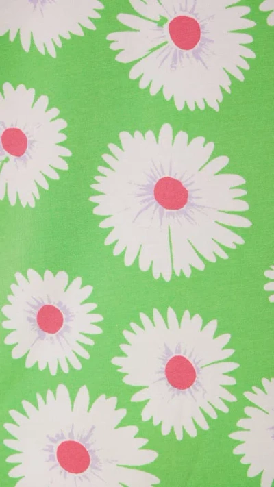 The Cat's Pajamas Pima Knit Short Pajama Set In Green