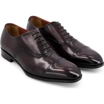 Anthony Veer Genoa Cap-toe Oxford In Brown