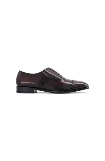 Anthony Veer Genoa Cap-toe Oxford In Brown