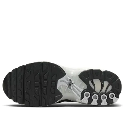 Nike (gs)  Air Max Plus 'black White Sail Metallic Cool Grey' In Multi