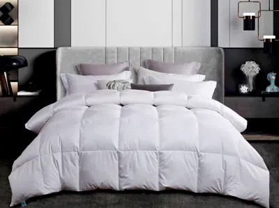 Martha Stewart 600 Fill Power White Down All Season Comforter