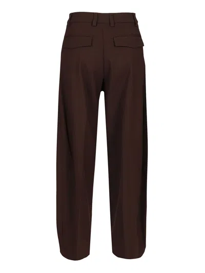The Latest Billie 3111 Pants In Brown