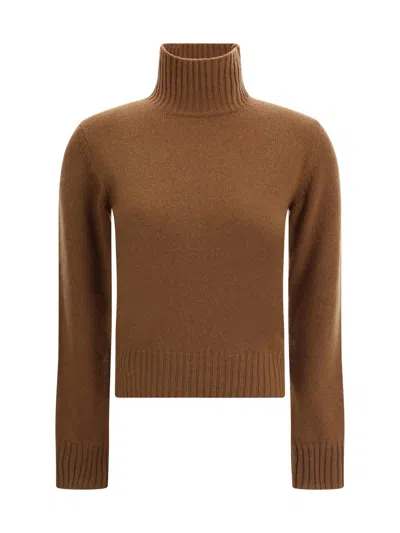 Ami Alexandre Mattiussi Ami Paris Women Ami De Coeur Turtleneck Sweater In Brown