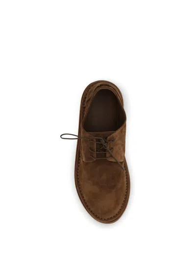 Marsèll Stringate Sancrispa In Brown